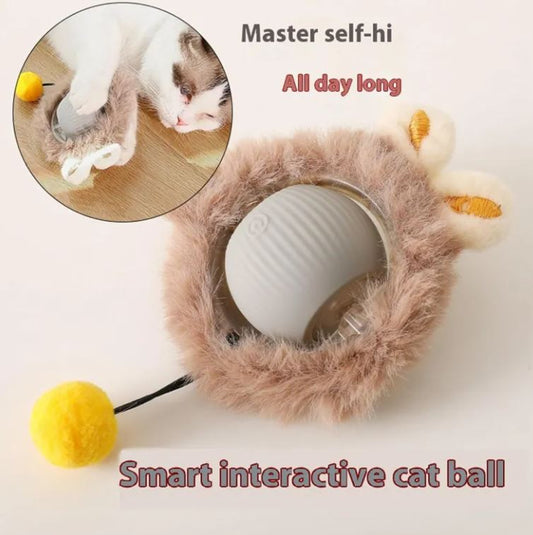 Interactive Rolling Ball Pet Toy