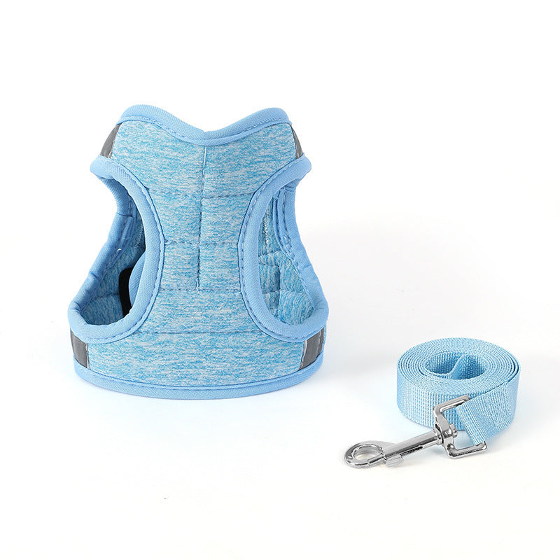 Fashion Cat & Dog Walking Chain Leash