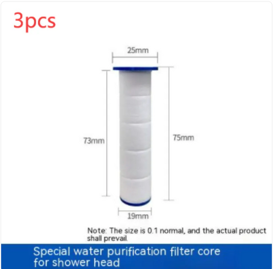 Adjustable High-Pressure Shower Head with Hose